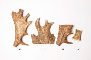 Bois de daim 300x200