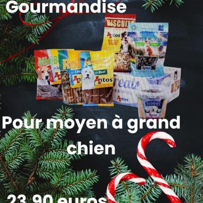 Box de noel gourmandise moyen a grand chien 23 90 euros 2