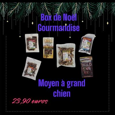 Box de noel gourmandise moyen a grand chien 23 90 euros