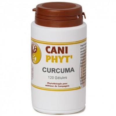 Curcuma caniphyt chiens chats