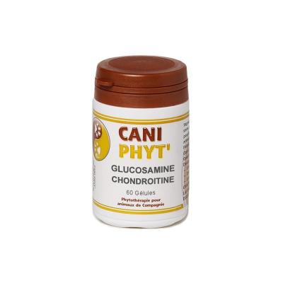 Glucosamine chondroitine caniphyt chiens chats