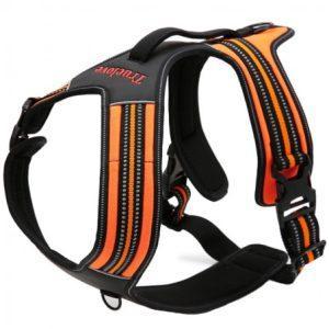 Truelove forest harnais chien dressage anti traction promenade 1 300x300